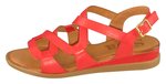 BERRY SALA-womens-shoes-Shirley's Shoes