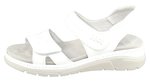 EDIE SUAVE-sandals---low-to-flat-Shirley's Shoes